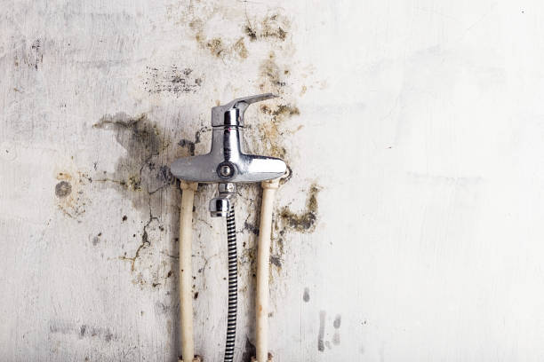 Water Damage Restoration in Appleton, MN