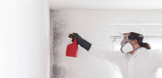 Best Crawl Space Mold Removal  in Appleton, MN